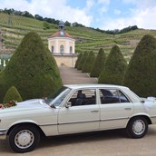 Hochzeitsauto - Mercedes Benz S 280 SE   W116   in Dresden