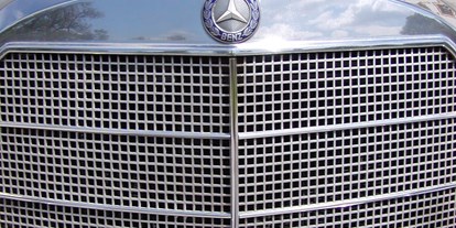 Hochzeitsauto-Vermietung - Farbe: Grau - Bayern - Mercedes Benz 230 Heckflosse von Classic Roadster München