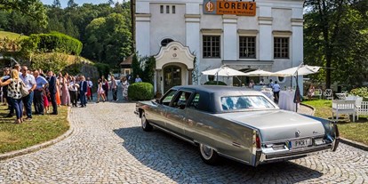 Hochzeitsauto-Vermietung - Farbe: Silber - Cadillac Fleetwood Limousine