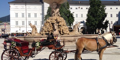 Hochzeitsauto-Vermietung - Art des Fahrzeugs: Kutsche - Fiaker Salzburg  - Familie Winter