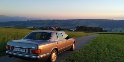 Hochzeitsauto-Vermietung - Art des Fahrzeugs: Oldtimer - Mercedes-Benz 500 SEL, Langversion