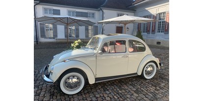 Hochzeitsauto-Vermietung - Marke: Volkswagen - Festlich auch auf Schlössern  - VW-Käfer 1967 Palomena und VW-Käfer 1970