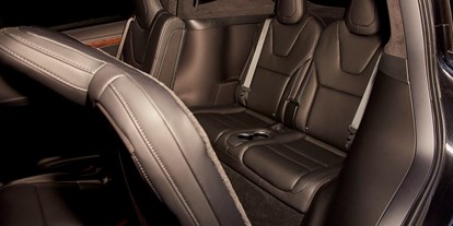 Hochzeitsauto-Vermietung - Farbe: Silber - Mitte und die hinteren 2 Sitzplätze - Tesla Model X mit einzigartigen Flügeltüren in Spacegry 
