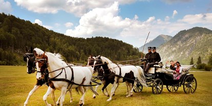 Hochzeitsauto-Vermietung - Marke: andere Fahrzeuge - Oberösterreich - Vis a Vis Kutsche - Die Salzkammerkutscher
