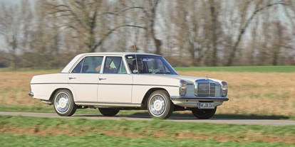 Hochzeitsauto-Vermietung - Mönchengladbach - Mercedes 230 "Strichacht" - Mercedes 230 "Strichacht" & Mercedes 560 SEL (W126)