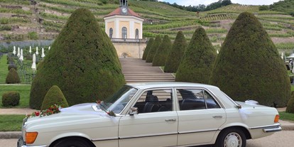 Hochzeitsauto-Vermietung - Dresden - Mercedes Benz S 280 SE   W116   in Dresden