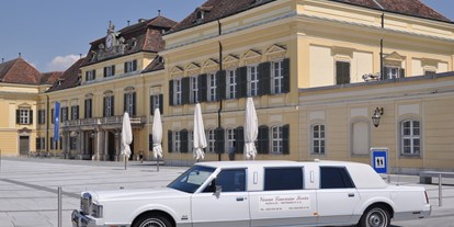 Hochzeitsauto-Vermietung - Lincoln von Vienna Limousine Service - KLEIN & CO