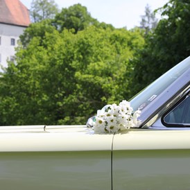 Hochzeitsauto: DREAMLINER Ford Thunderbird 1966